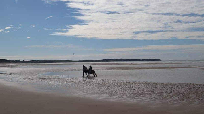 Ferme équestre de Den' - photo 3