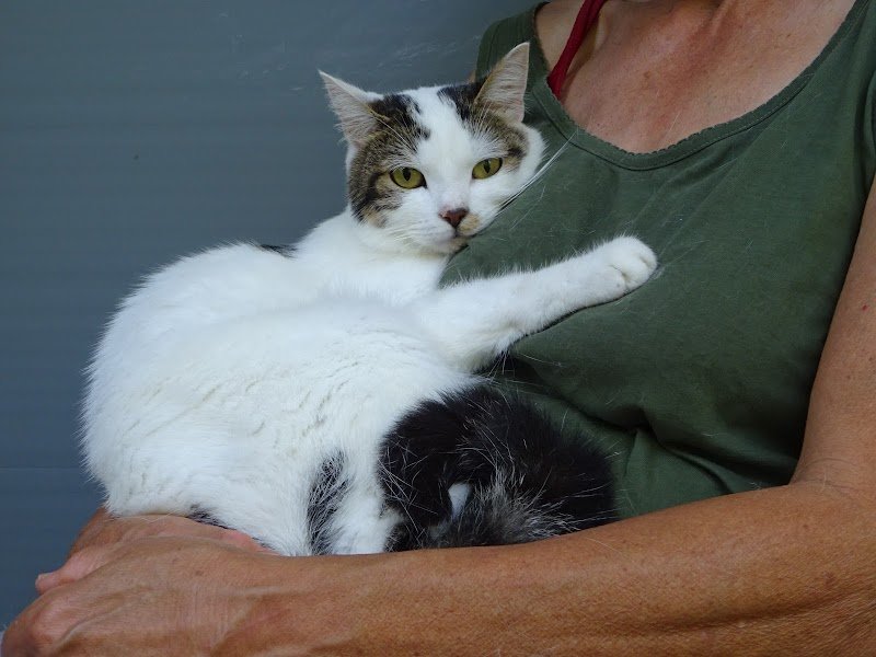 PENSION VAL DE LYS - photo 1