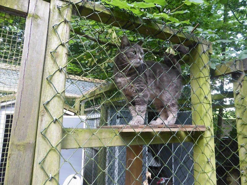 PENSION VAL DE LYS - photo 2