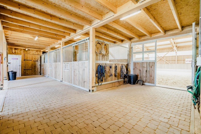 Les Écuries du Domaine de la Comté - photo 1