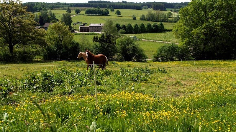 Les Écuries du Domaine de la Comté - photo 2