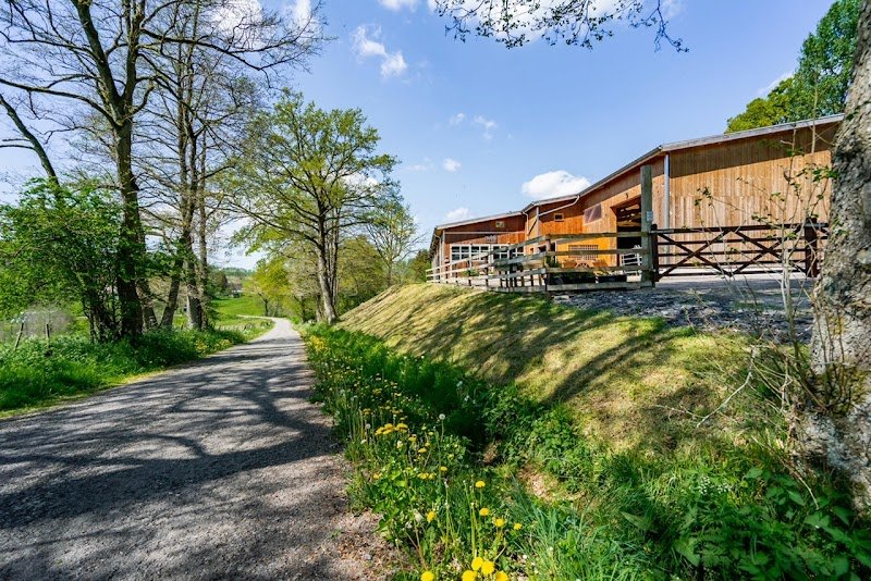 Les Écuries du Domaine de la Comté - photo 3