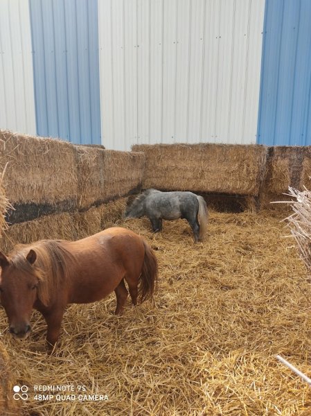 Les Ecuries du Grain - photo 1