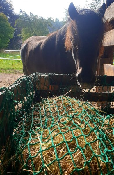 Ecuries Val de BOYA - photo 2