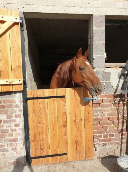 Ecuries Val de BOYA - photo 3