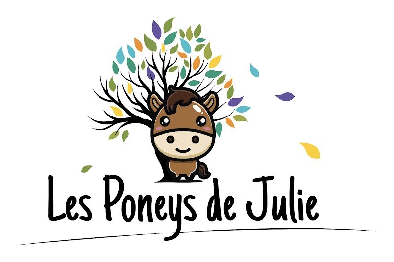 Les poneys de Julie - photo 1