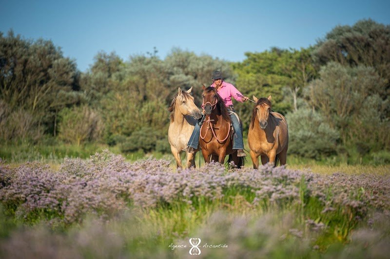 Aventure Équestre – Écurie & Randonnée - photo 2