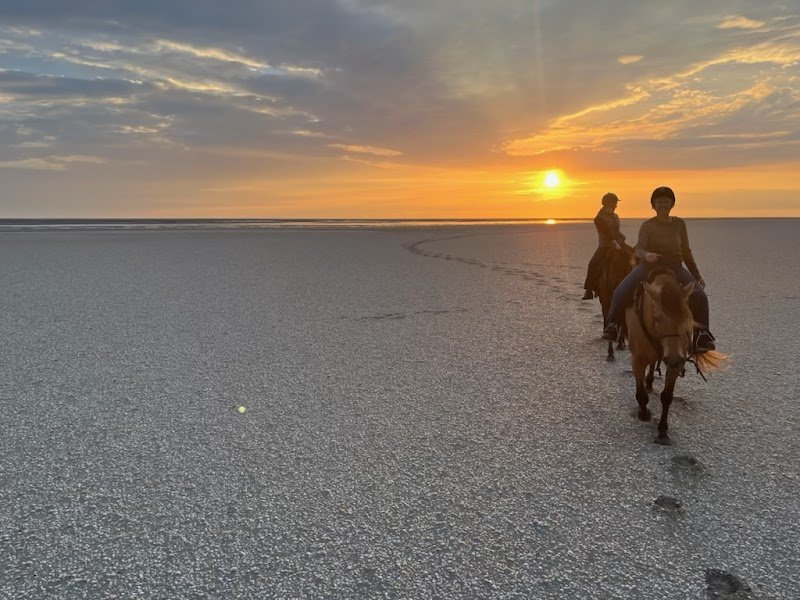 Aventure Équestre – Écurie & Randonnée - photo 3