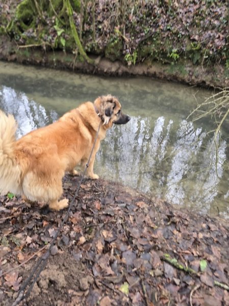 Pension de la Scarpe - photo 2