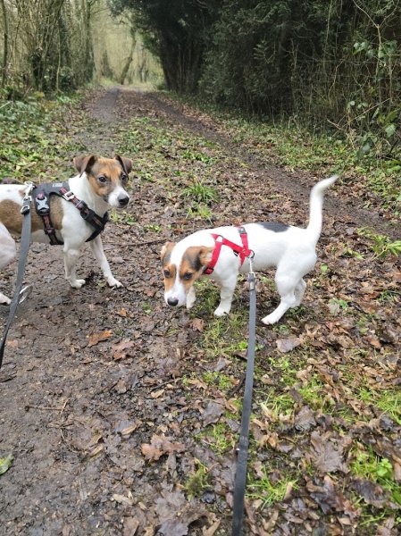 Pension de la Scarpe - photo 3