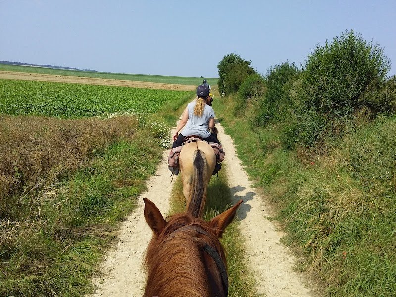 SOMME RANDONNEES A CHEVAL - photo 1