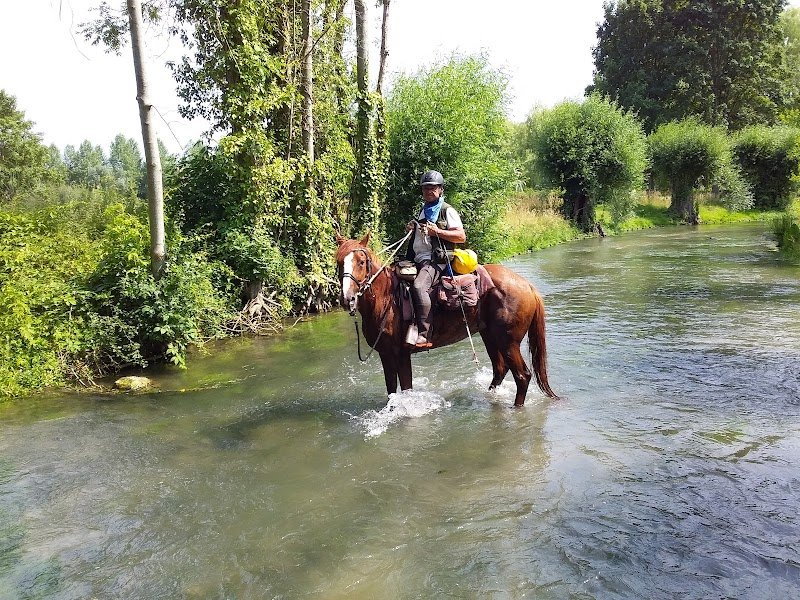 SOMME RANDONNEES A CHEVAL - photo 3