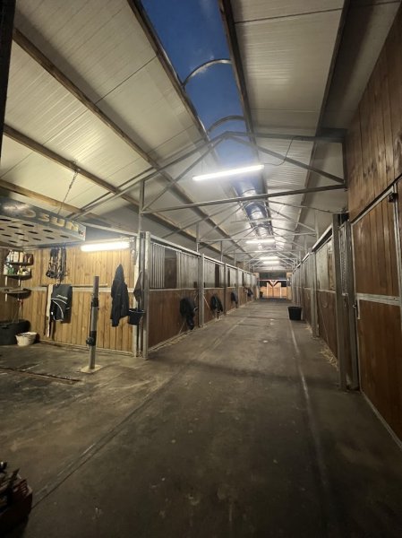 Écurie Cyrielle Deboffle - photo 3