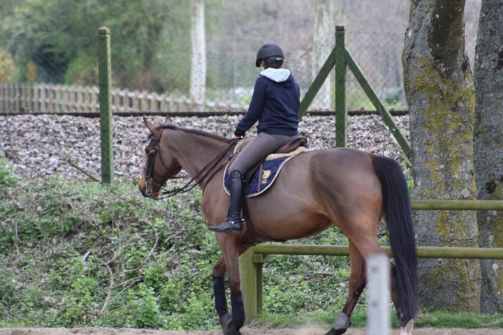 CENTRE EQUESTRE DE FLERS