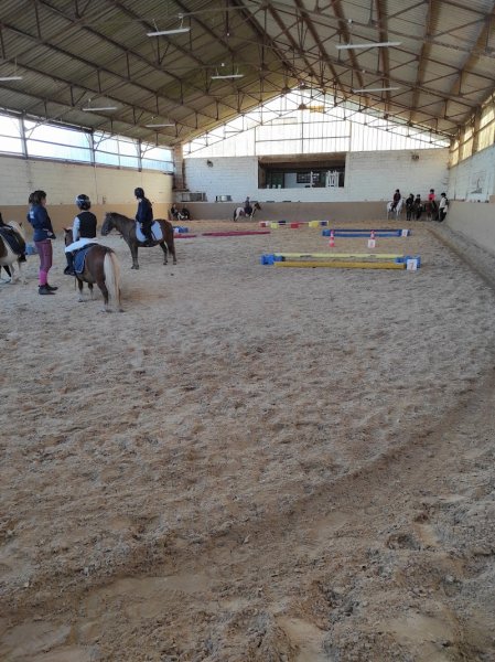 CENTRE EQUESTRE DE FLERS - photo 2