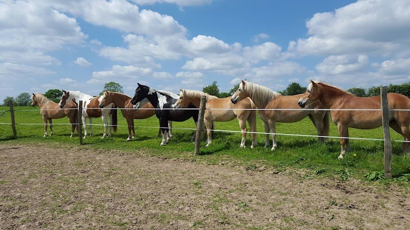 Les Ecuries des Perrelles - photo 1