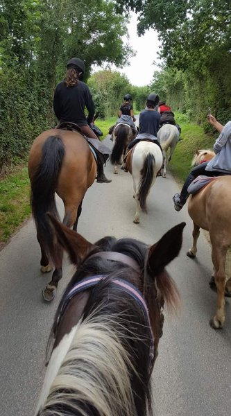 Les Ecuries des Perrelles - photo 2