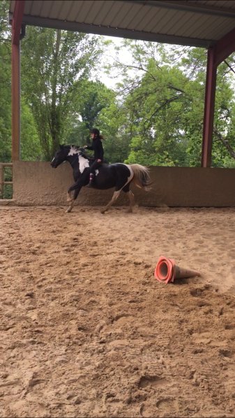 Les Ecuries des Perrelles - photo 3