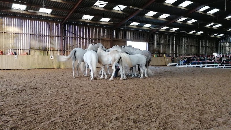 Centre Equestre de la Scie Longueville