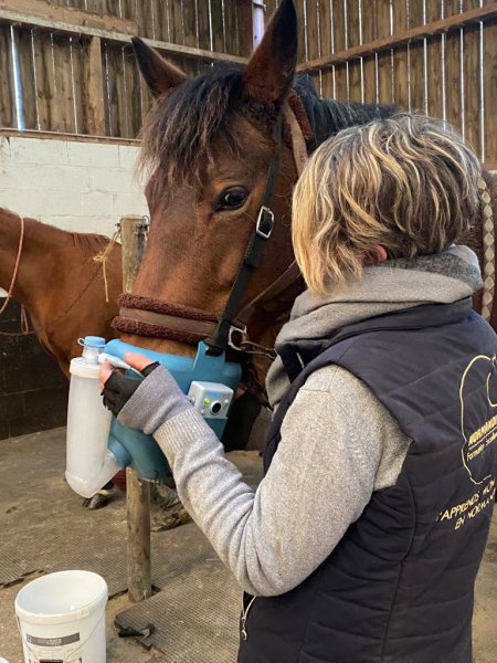Centre Equestre de la Scie Longueville - photo 2