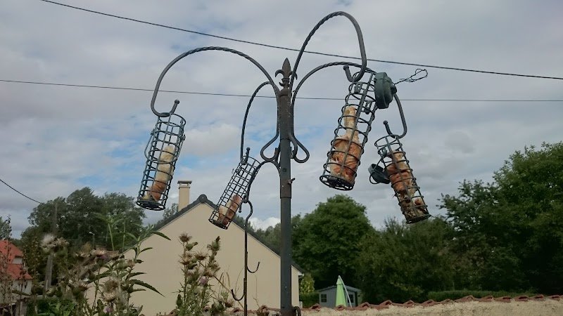 Fers à cheval - photo 1