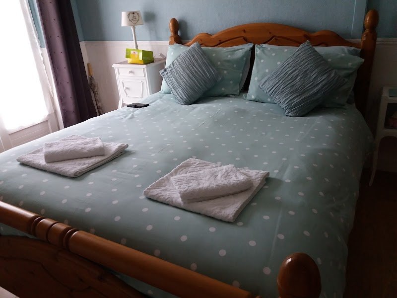 Fers à cheval - photo 2