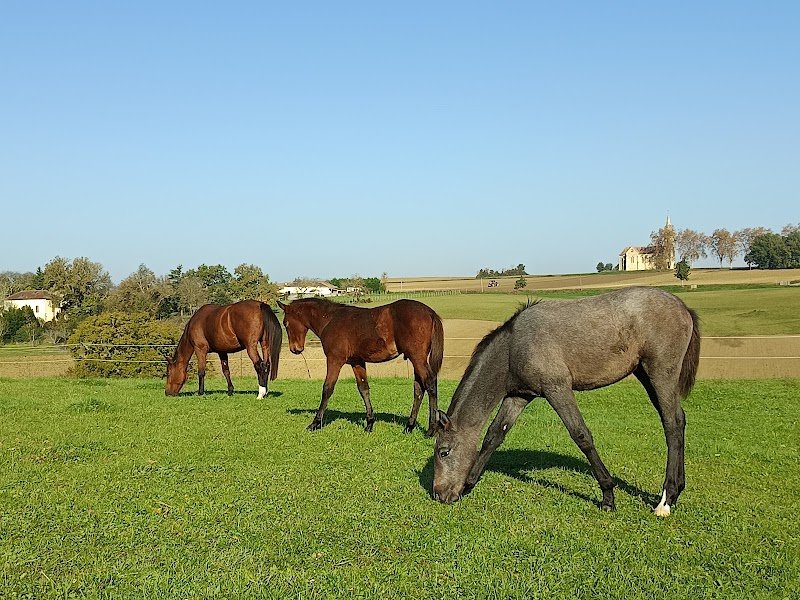 Ecuries de Mauriet - photo 2