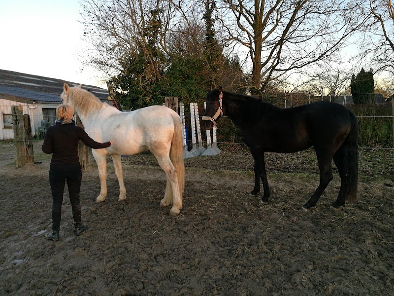 Les Ecuries d'Opprebais - photo 2