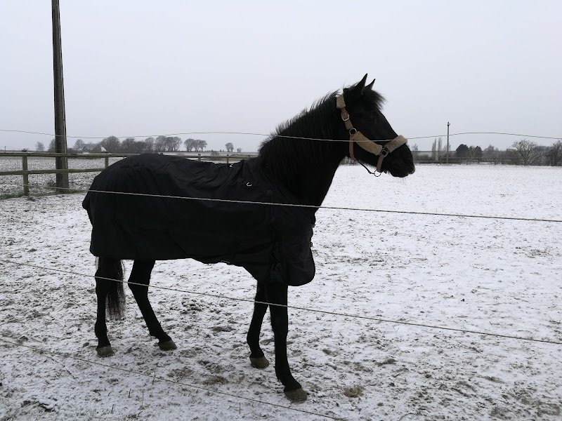 Les Ecuries d'Opprebais - photo 3