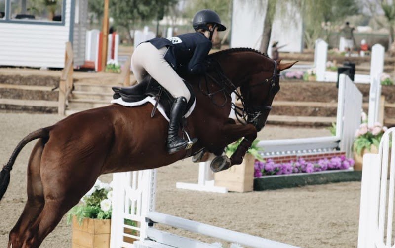 ÉCURIES DE HAPPEAU jean Christophe Leily - photo 3