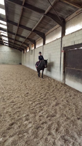 Haras de Longpre - photo 3