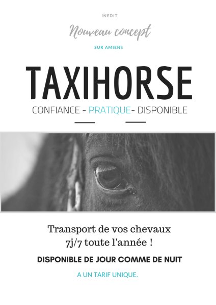 TAXIHORSE - photo 1