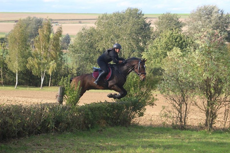 Poney Club d'Amiens - photo 2
