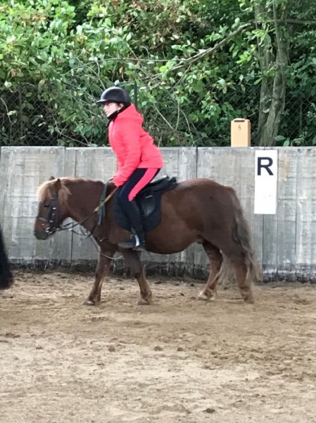 Poney Club d'Amiens - photo 3