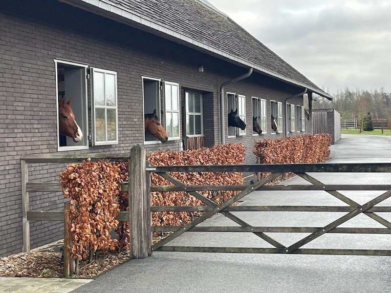 Le haras des vignes d’Allouin
