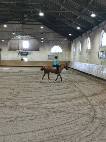 Societe Hippique d'Abbeville - photo 2