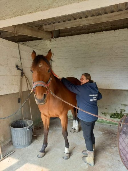 Écurie d'Acheux - photo 1