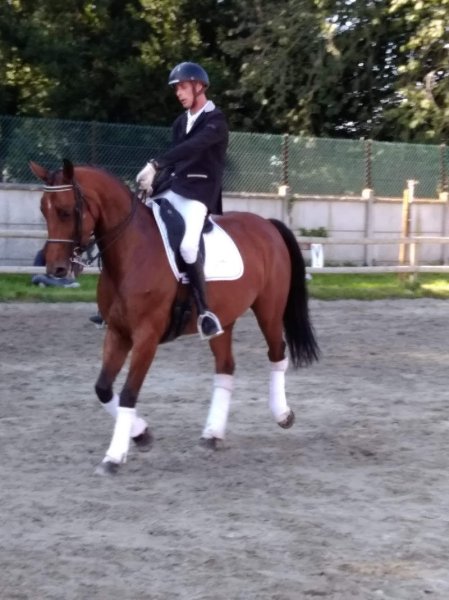 Écurie d'Acheux - photo 2