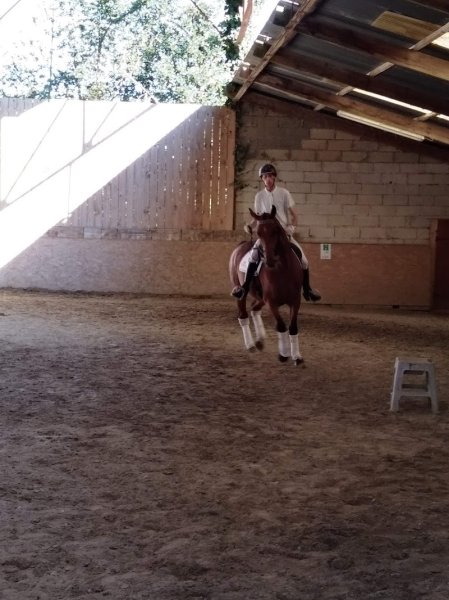 Écurie d'Acheux - photo 3