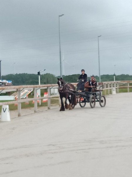 Pôle équestre de la Haute Somme - photo 2