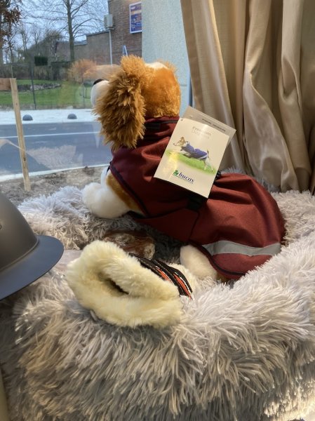 SELLERIE DE LA LUCE - photo 2