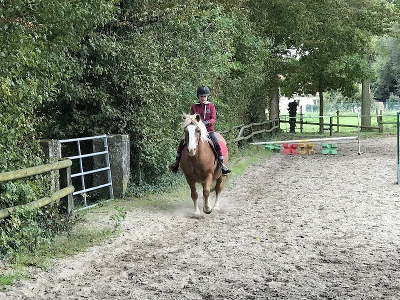Centre Equestre du Vimeu - photo 2