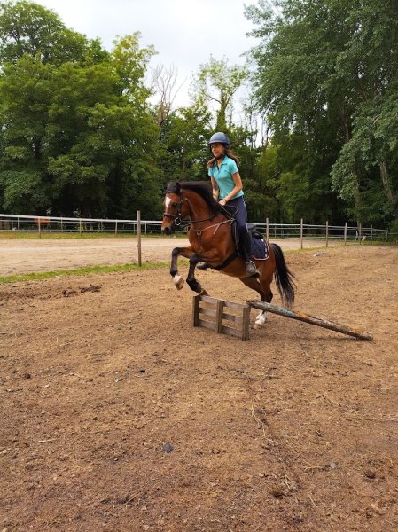 Écurie du château d'Eu - photo 2