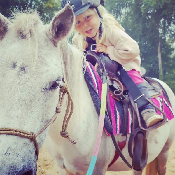 Écurie du château d'Eu - photo 3