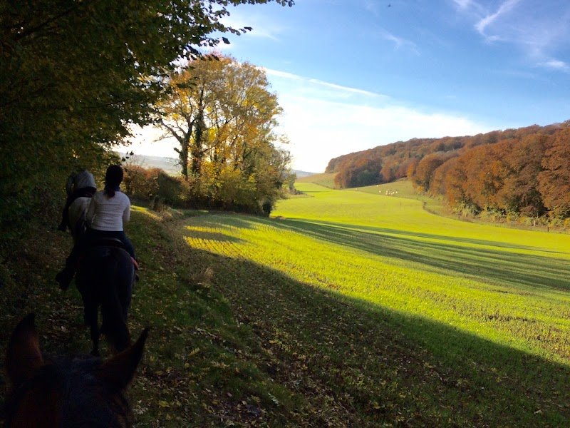 Les Ecuries d'Opale - photo 3