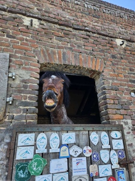 Centre Équestre Poney Club Saint Nicolas - photo 1