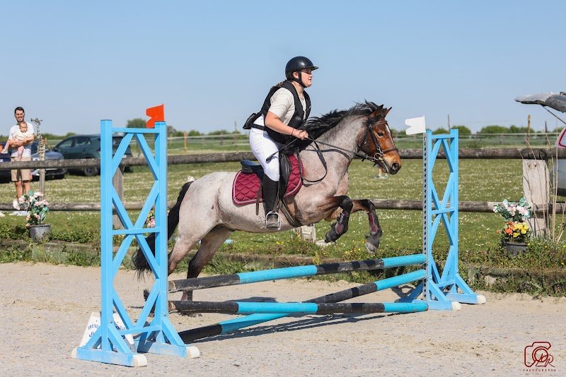 Centre Équestre Poney Club Saint Nicolas - photo 2