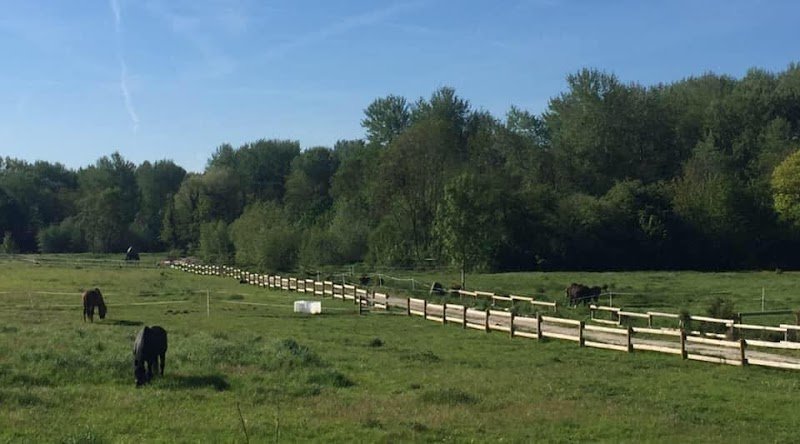 Les écuries du Cèdre - photo 1