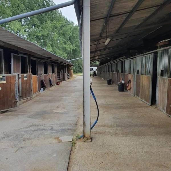 Les écuries du Cèdre - photo 2