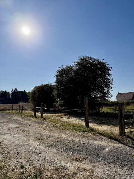 Cercle hippique de beauval - photo 3